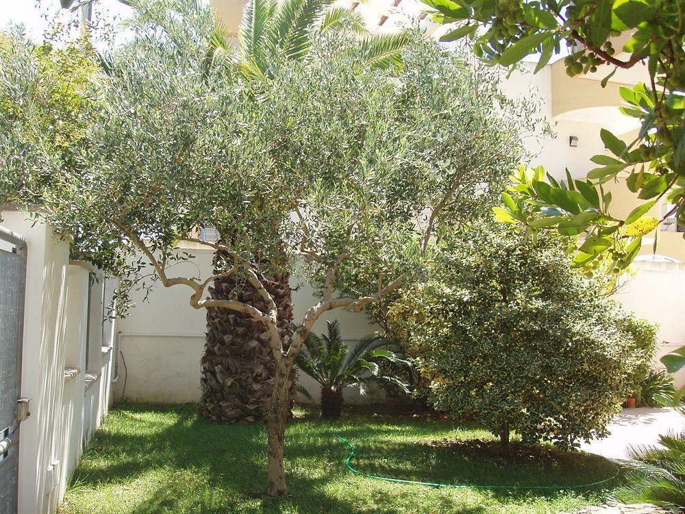 Residenza Del Sole Bed and Breakfast Surbo Eksteriør billede